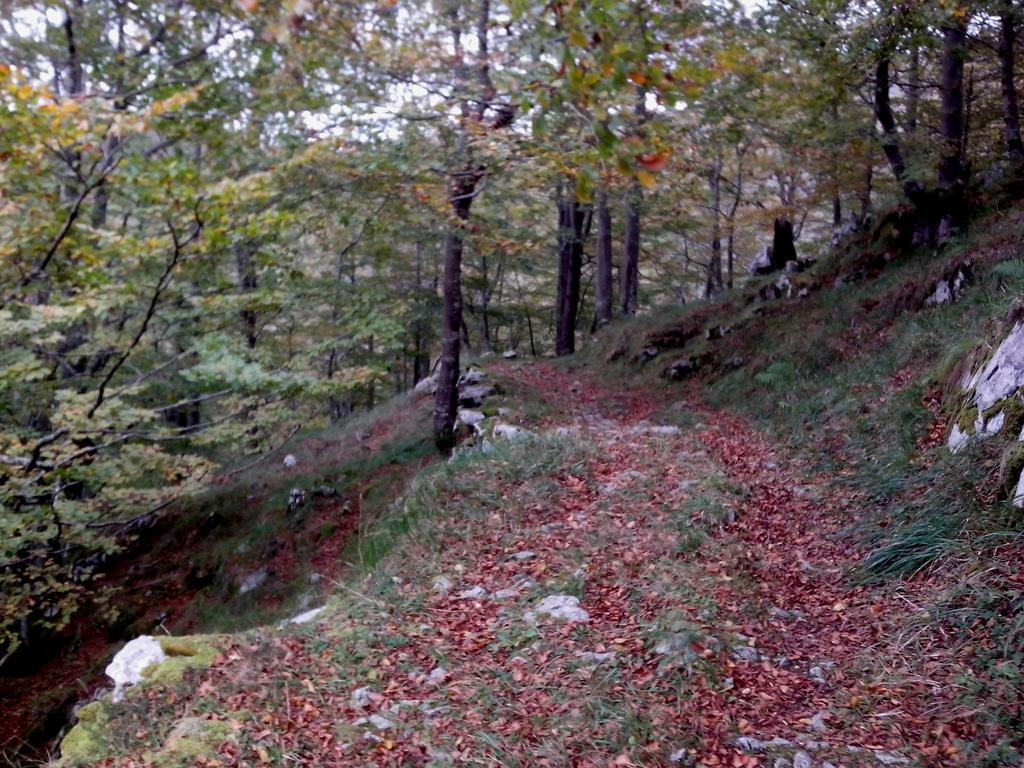 El Cerro Villa La Concha  Esterno foto